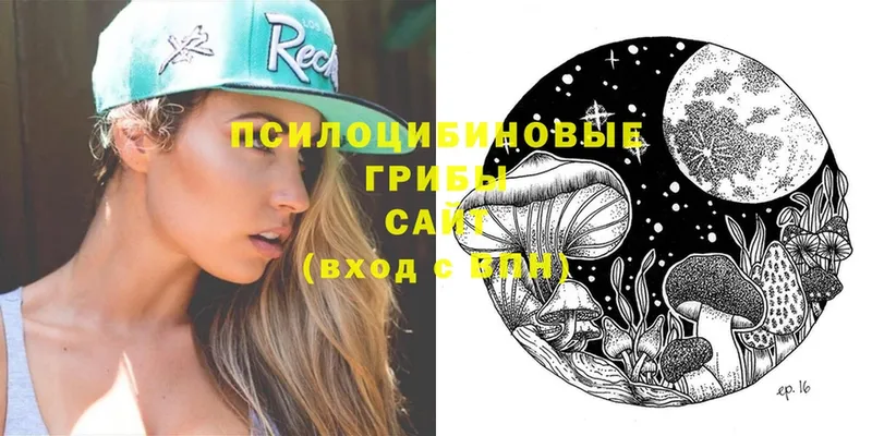 цены наркотик  Камбарка  shop Telegram  Галлюциногенные грибы Psilocybe 