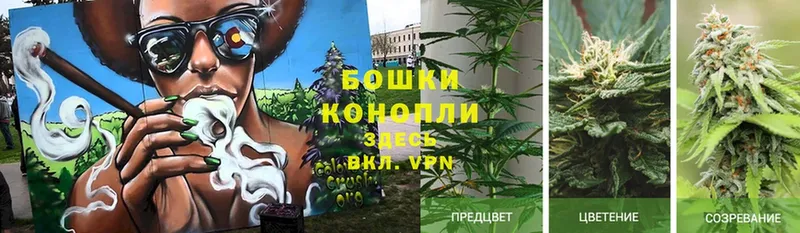 купить наркотики сайты  Камбарка  Канабис White Widow 